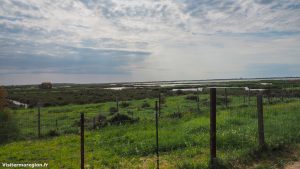 Randonnee De L Etang De L Or A Mauguio 3