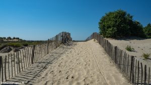 Le Petit Travers Mauguio 11