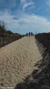 Plage De La Tamarissiere Grau Dagde 5
