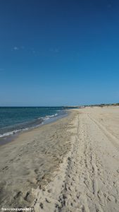 Plage Dhonneur Marseillan 5