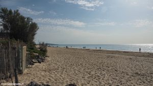 Plage Du Rieu Marseillan 1