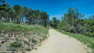 Randonnee Bois Saint Sauveur Saint Clement De Riviere 16.jpg