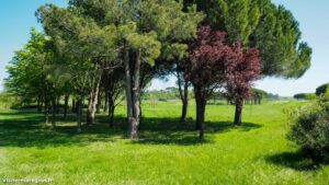 Parcours Sante De Bonneterre Lattes 5 1.jpg