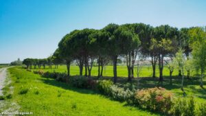 Parcours Sante De Bonneterre Lattes 6 1.jpg