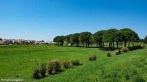 Parcours Sante De Bonneterre Lattes 7 1.jpg