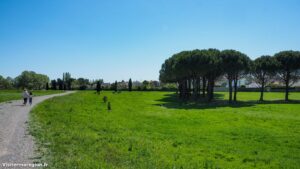 Parcours Sante De Bonneterre Lattes 8 2.jpg