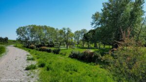 Parcours Sante De Bonneterre Lattes 9 2.jpg