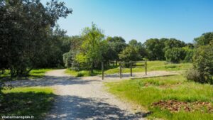 Parcours Sante De Castelnau Le Lez 1.jpg