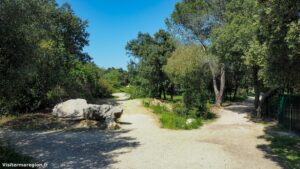 Parcours Sante De Castelnau Le Lez 11.jpg