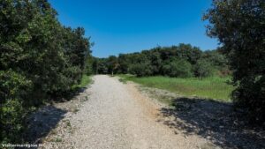 Parcours Sante De Castelnau Le Lez 3.jpg