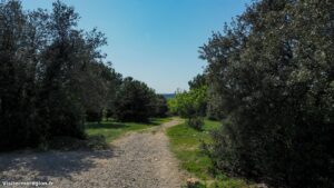 Parcours Sante De Castelnau Le Lez 4.jpg