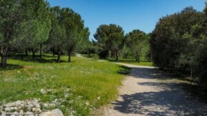 Parcours Sante De Castelnau Le Lez 5.jpg