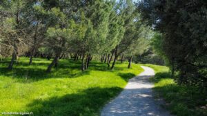 Parcours Sante De Castelnau Le Lez 6.jpg