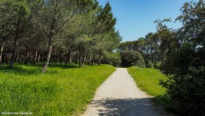 Parcours Sante De Castelnau Le Lez 7.jpg