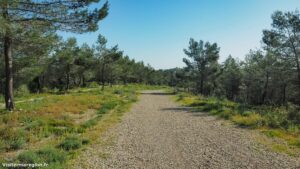 Randonnee Bois Saint Sauveur Saint Clement De Riviere 1.jpg