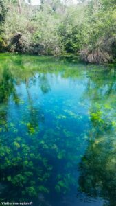 Randonnee Bois Saint Sauveur Saint Clement De Riviere 10.jpg