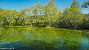 Randonnee Bois Saint Sauveur Saint Clement De Riviere 11.jpg