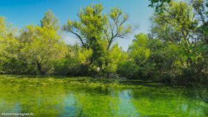 Randonnee Bois Saint Sauveur Saint Clement De Riviere 12.jpg