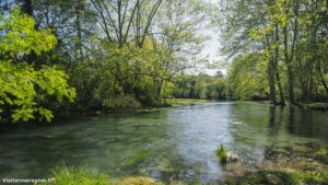 Randonnee Bois Saint Sauveur Saint Clement De Riviere 15.jpg