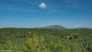 Randonnee Bois Saint Sauveur Saint Clement De Riviere 18.jpg