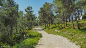 Randonnee Bois Saint Sauveur Saint Clement De Riviere 19.jpg