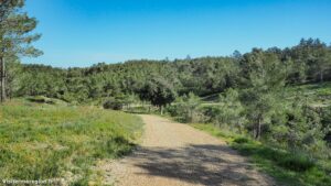 Randonnee Bois Saint Sauveur Saint Clement De Riviere 2.jpg