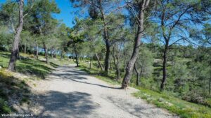 Randonnee Bois Saint Sauveur Saint Clement De Riviere 3.jpg