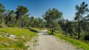 Randonnee Bois Saint Sauveur Saint Clement De Riviere 4.jpg