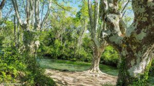 Randonnee Bois Saint Sauveur Saint Clement De Riviere 5.jpg