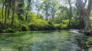 Randonnee Bois Saint Sauveur Saint Clement De Riviere 6.jpg