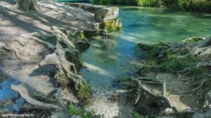 Randonnee Bois Saint Sauveur Saint Clement De Riviere 7.jpg