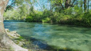 Randonnee Bois Saint Sauveur Saint Clement De Riviere 8.jpg