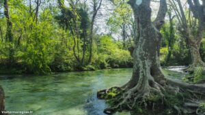 Randonnee Bois Saint Sauveur Saint Clement De Riviere 9.jpg