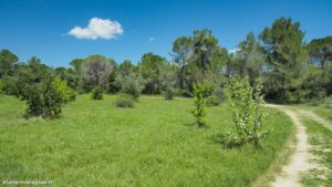 Randonnee Du Chateau De Restinclieres Prades Le Lez 1.jpg
