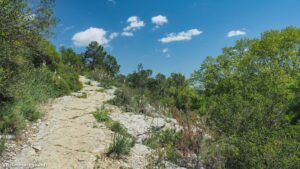 Randonnee Du Chateau De Restinclieres Prades Le Lez 14.jpg