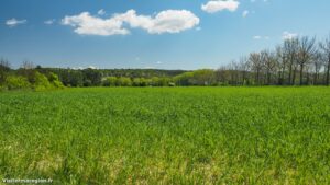 Randonnee Du Chateau De Restinclieres Prades Le Lez 2.jpg