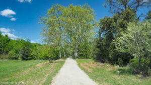 Randonnee Du Chateau De Restinclieres Prades Le Lez 4.jpg