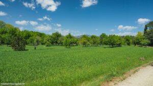 Randonnee Du Chateau De Restinclieres Prades Le Lez 6.jpg