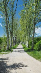 Randonnee Du Chateau De Restinclieres Prades Le Lez 7.jpg